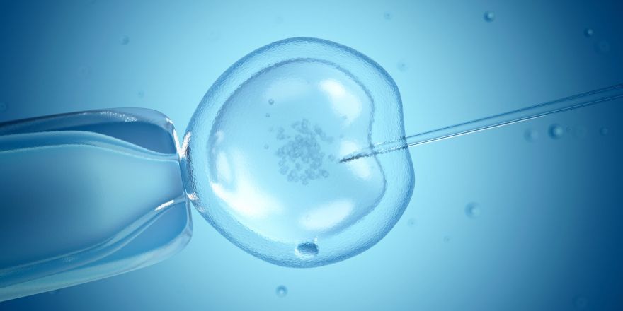 IVF clinic in dubai