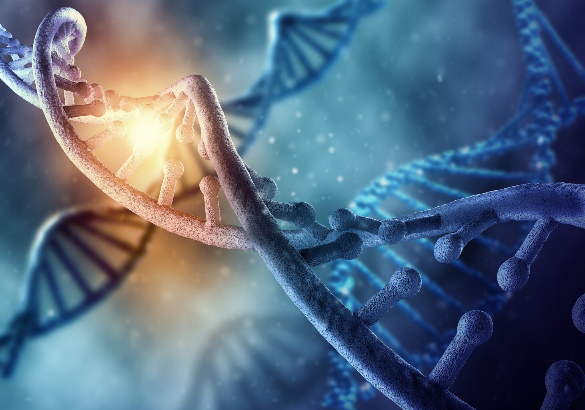 What Is Dna Made Of